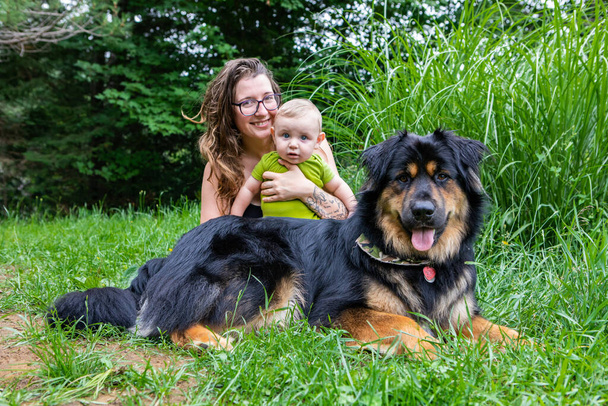 Äiti, vauva ja koira ulkona muotokuva - Valokuva, kuva
