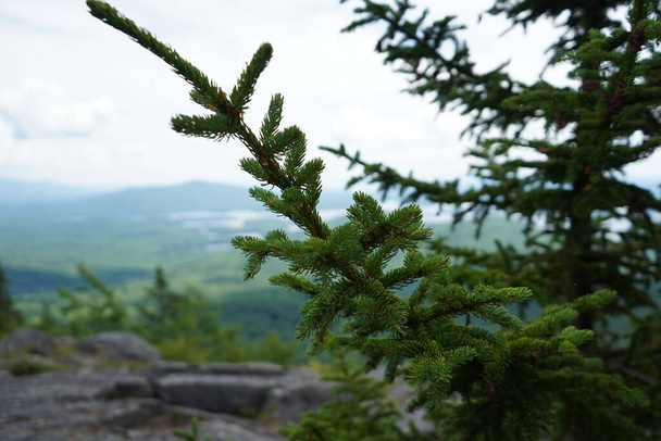 Näkymä järvelle vaellusreitillä ylhäältä vuoren New Hampshire - Valokuva, kuva
