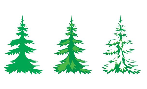 3 köknar ağacı vektör kümesi - Vektör, Görsel