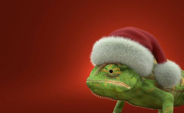 Chameleon with santa hat on red background. 3d illustration - Photo, Image