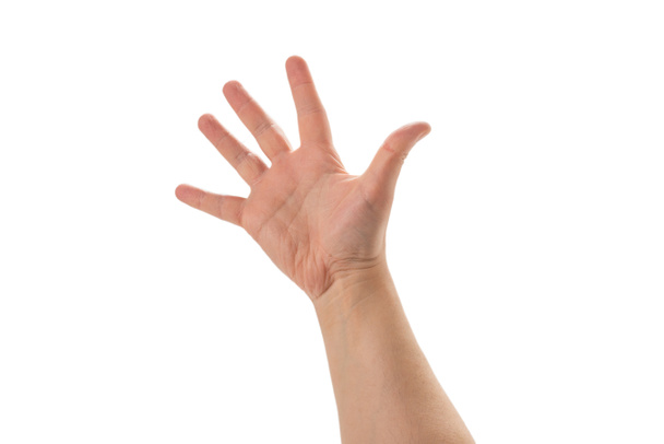 Mano de hombre mostrando cinco dedos aislados sobre fondo blanco
.  - Foto, Imagen