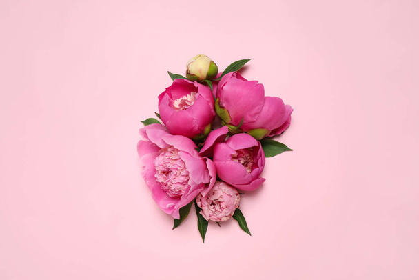 Beautiful fresh peonies on pink background, flat lay - Photo, Image