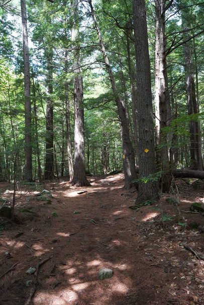 View of path on hiking trail on mountain in New Hampshire - Photo, Image