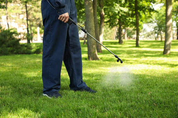 Worker spraying pesticide onto green lawn outdoors, closeup. Pest control - Фото, изображение
