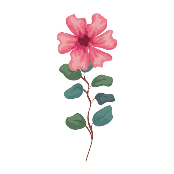 flower pink color with branch and leaves, on white background - Vector, Image