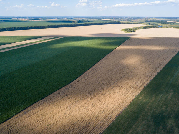 Вид с воздушного беспилотника. Спелые поля кукурузы и пшеницы в Украине. - Фото, изображение