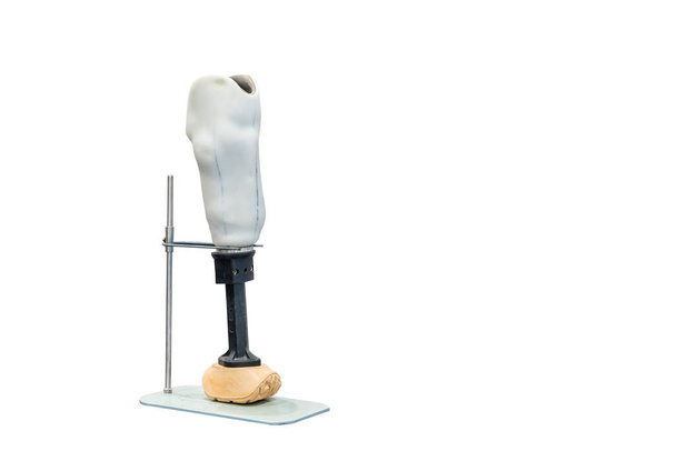Крестьянский протез ноги или локтевое колено для инвалидов для прогулок на стенде изолированы на белом фоне с вырезкой дорожки - Фото, изображение