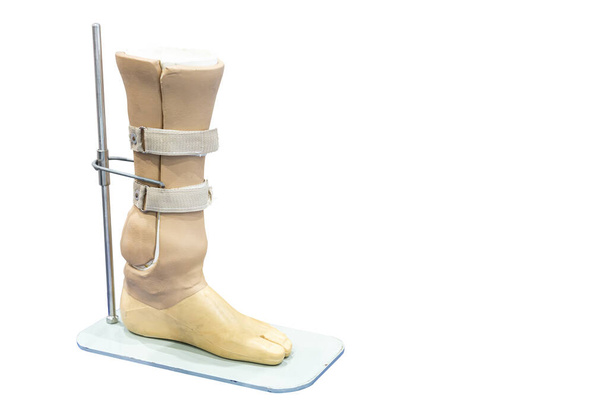 poniżej protezy kolana noga lub kolano łokcia dla niepełnosprawnych na stojak izolowany na białym tle z ścieżką przycinania, - Zdjęcie, obraz
