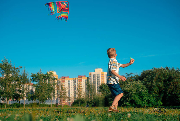 little boy launches a kite in the park. flying kite - Zdjęcie, obraz