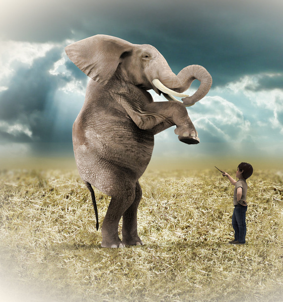 Слон обучен
 - Фото, изображение