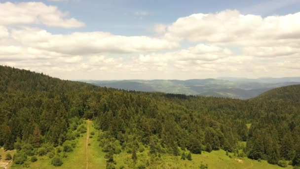 Вид с воздуха на горный лес в летний день - Кадры, видео
