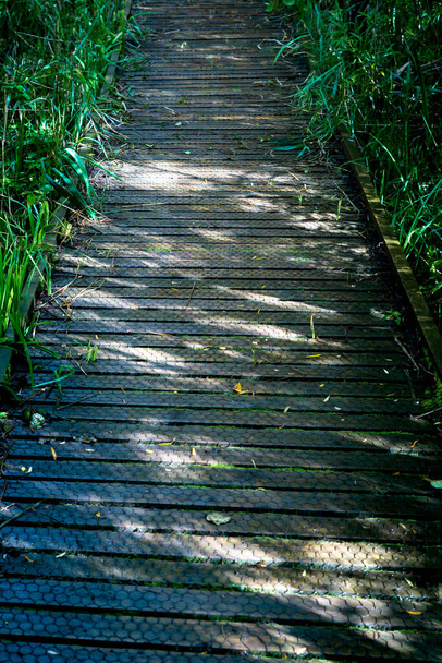 A path that leads you down through the marshlands. The beauty of the marshlands on either side of you as you venture down each possible path. Focus point of the path with aspects of the marshlands. - Photo, Image