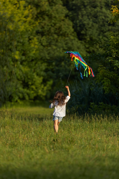 happy cute little child girl launches kite - Foto, Imagen