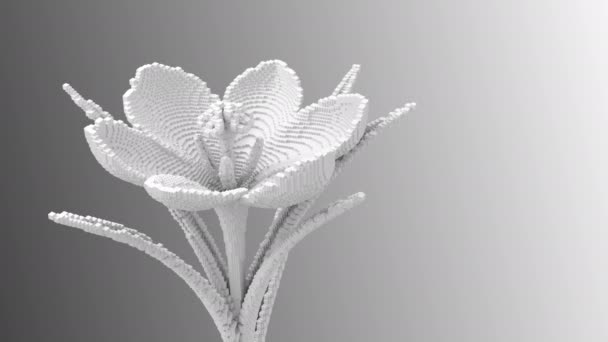 Digitale bloem deïntegreert naar 3D Pixels - Video