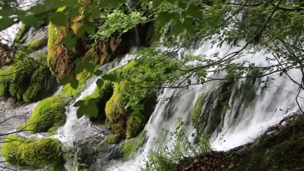 Jeziora Plitwickie, Chorwacja, naturalne wodospady i strumienie wody w parku - Materiał filmowy, wideo