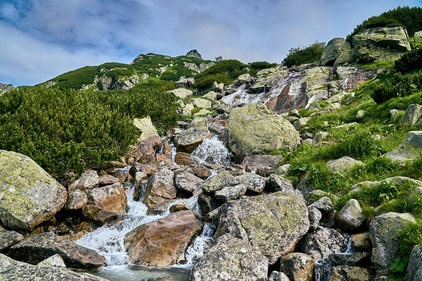 Hegyi patak a Magas-Tátra Nemzeti Parkban, Szlovákia, Európa, EU. Gyönyörű világ.. - Fotó, kép