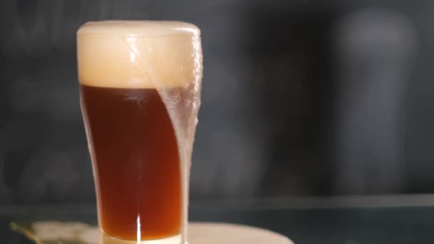 La birra viene versata in un bicchiere su uno sfondo grigio - Filmati, video