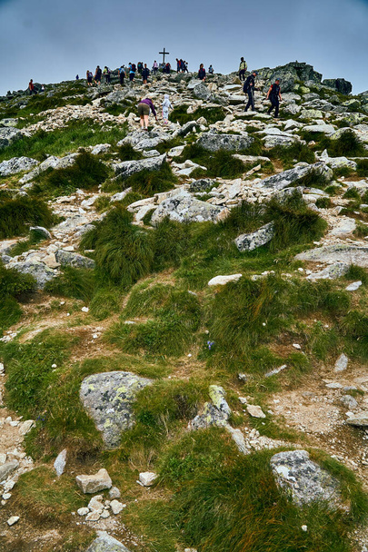 Krásný panoramatický výhled na hory v národním parku Vysoké Tatry. severní Slovensko, Evropa, EU. Krásný svět. - Fotografie, Obrázek
