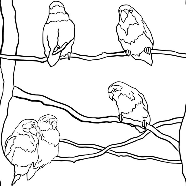 Pappagalli agapornis piccioncino modello senza soluzione di continuità - Vettoriali, immagini