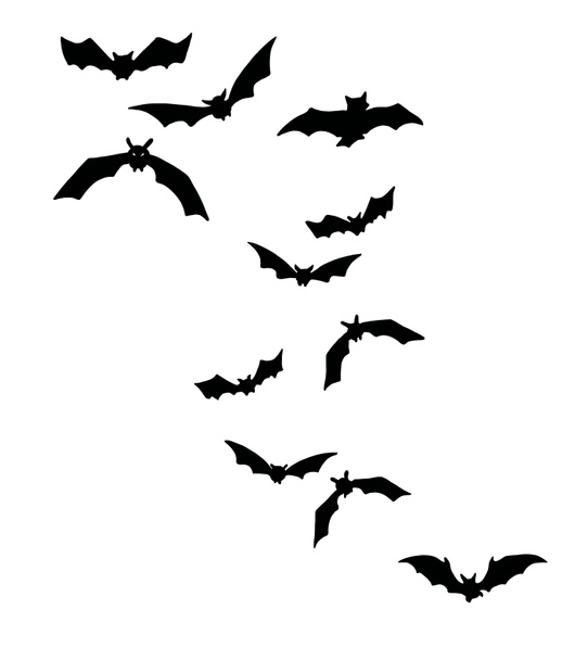 Szokujące czarne nietoperze grupa izolowane Halloween  - Zdjęcie, obraz