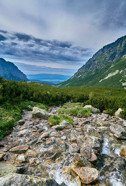 Arroyo de montaña en el Parque Nacional de los Altos Tatras, Eslovaquia, Europa, UE. Hermoso mundo
. - Foto, imagen