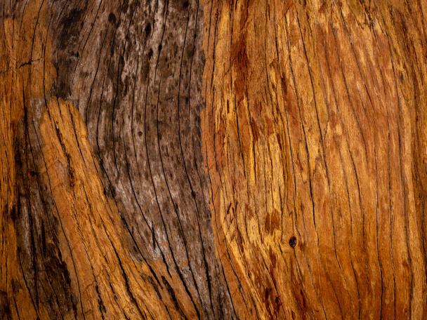 Brown wood texture. Abstract for background, empty template - Фото, изображение