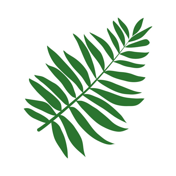 Tropikal eğreltiotu yaprağı düz biçim vektör tasarımı - Vektör, Görsel