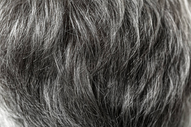 Cabello gris de viejo humano, primer plano
 - Foto, imagen