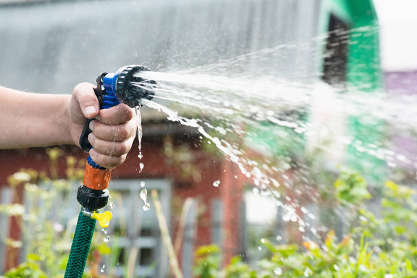 Gardener is watering a garden bed by a water sprinkler close up. - 写真・画像