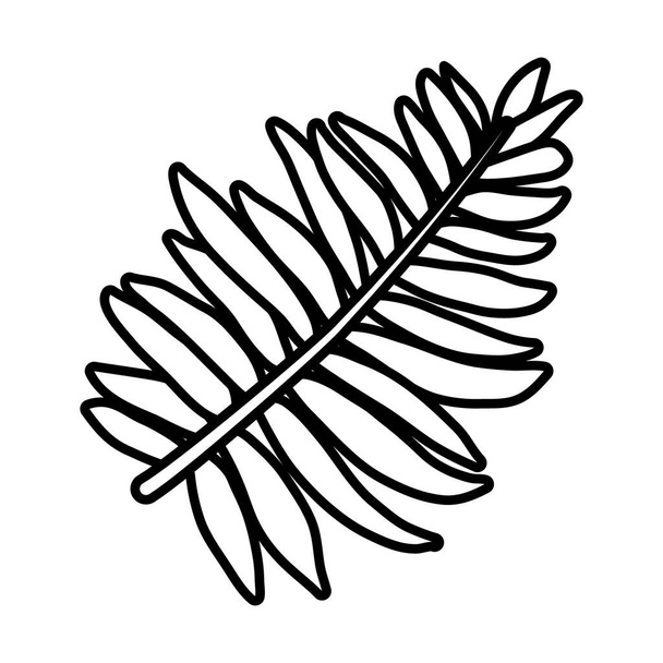 tropical fern leaf line style icon vector design - Vector, Image