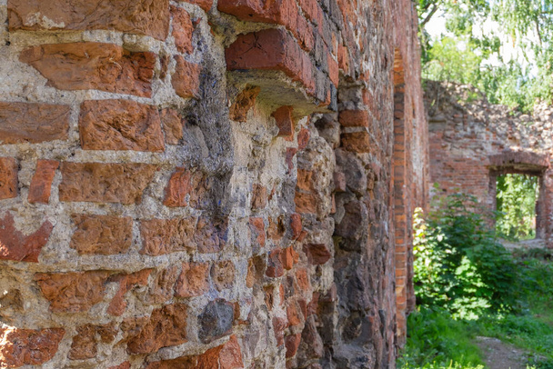 Les vieux murs de briques envahis du bâtiment détruit. Orientation horizontale, orientation sélective. - Photo, image