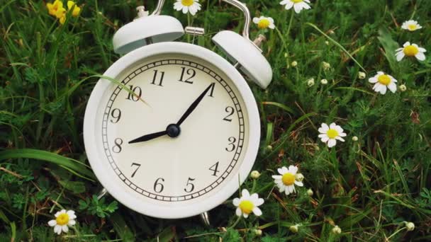 Alarm clock in fresh grass with white daisy flowers in summer morning closeup. Dolly shot. Natural concept - Metraje, vídeo
