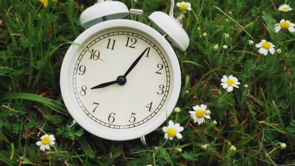 Reloj despertador analógico blanco con flores de manzanilla blanca y hierba fresca verde. Primer plano. Luz suave de la mañana. Huella de cámara. Dolly disparó
. - Metraje, vídeo
