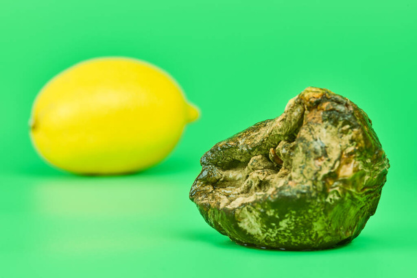 Rotten lemon and fresh lemon compare, green background. Mold putrefied fruit. Unsuitable inedible food for cooking and new fruit comparison. - Photo, Image