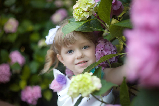 Malá holčička je v křoví hortenzií v zahradě zapadajícího slunce. Květiny jsou růžové, šeříkové, levandulové a kvetou v ulicích města. Dítě v šatech s jednorožcem. Pojem dětství, něha. - Fotografie, Obrázek