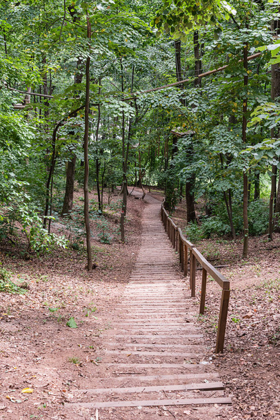 Orman bölgesinde, tepeye çıkan tahta patika. Yürüyüş parkurundaki doğal merdiven. Merdivenler ormandan geçiyor.. - Fotoğraf, Görsel