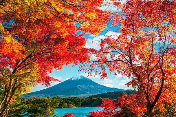 Mount Fuji s barevnými listy v popředí - Fotografie, Obrázek