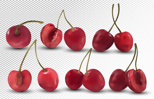 Cerezas frescas sobre fondo transparente. Colección de cerezas rojas maduras. Producto de la naturaleza. Bayas realistas 3D. Ilustración vectorial
 - Vector, Imagen