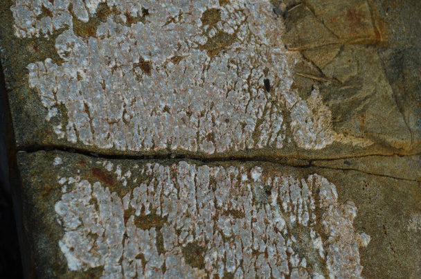 Kivi kerrokset - värikäs muodostumista kiviä pinottu yli satoja vuosia. Mielenkiintoinen tausta kiehtova rakenne. - Valokuva, kuva
