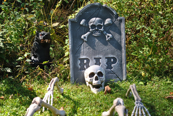 Esqueleto em um Garveyard
 - Foto, Imagem