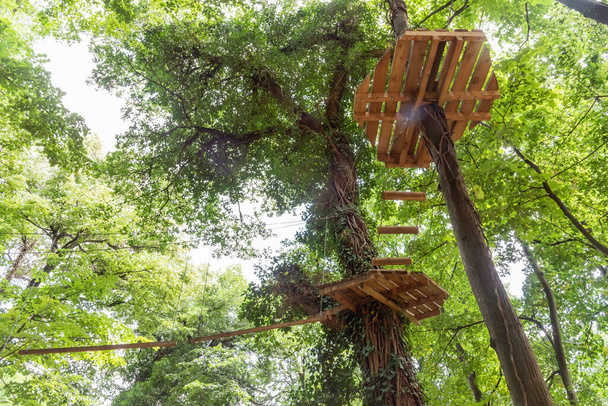 Adrenalin park a természetben Vrdnik, Szerbia. Kilátás a kalandpark akadályokat a fák. - Fotó, kép