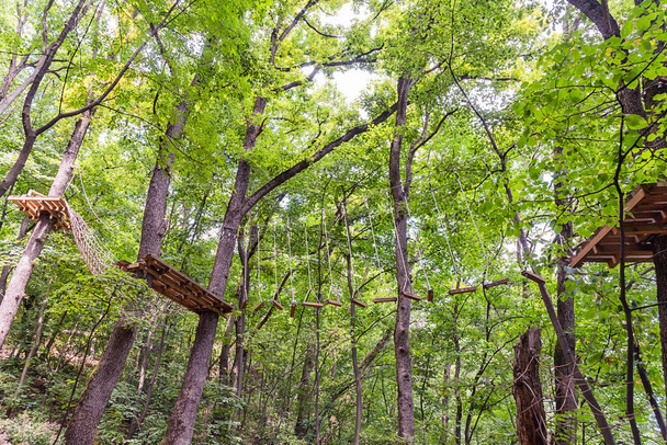 Природный парк Адреналине во Врднике, Сербия. Вид на парк приключений с колючками на деревьях. - Фото, изображение