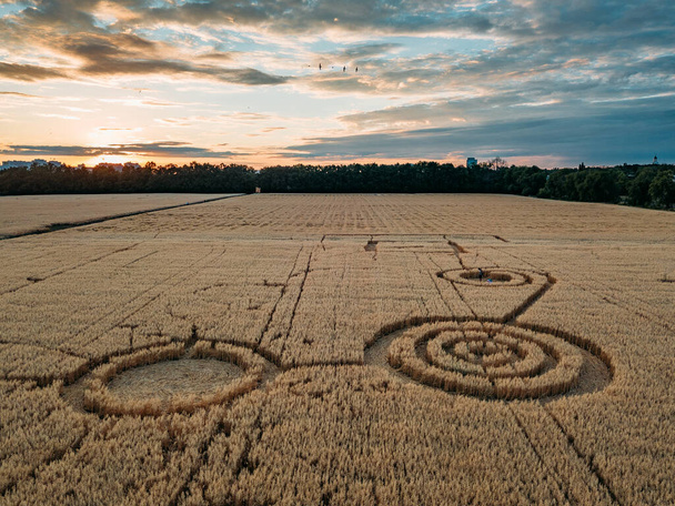 Mysterious crop circle in oat field near the city at the evening sunset. - Photo, image