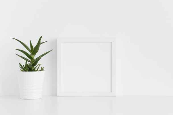 Weiße quadratische Rahmen-Attrappe mit einer Aloe Vera im Topf auf einem weißen Tisch. - Foto, Bild