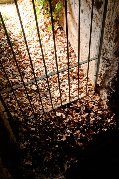 dietro le sbarre, scontare una condanna in carcere, vista su foglie di autunno marrone - Foto, immagini