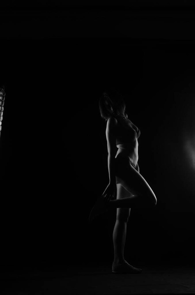 silhouette de belle femme avec une courte audition en lingerie posant sur fond sombre studio     - Photo, image