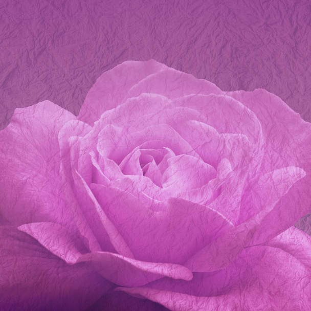 Art floral background with rose flower - Photo, Image