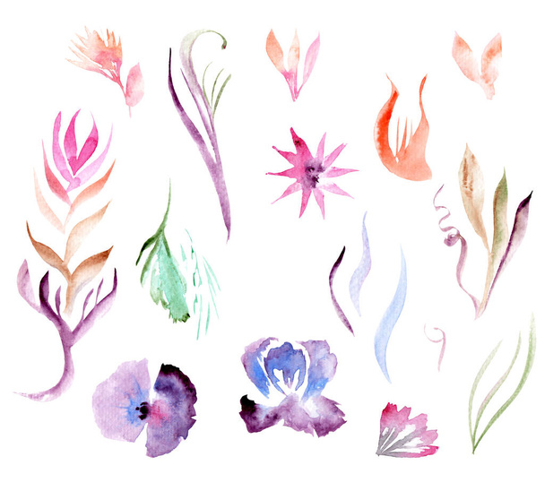 rysunki akwarelowe - kompozycja kwiatów i liści - Zdjęcie, obraz