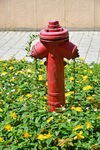 Vörös fém tűzcsap a parkban - Fotó, kép