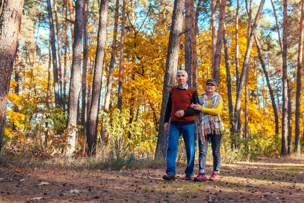 Putoamistoimet. Senioripariskunta kävelee syyspuistossa. Mies ja nainen jäähdytys ulkona nauttia luonnonmaisemista - Valokuva, kuva
